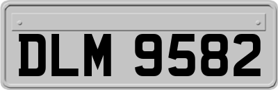 DLM9582