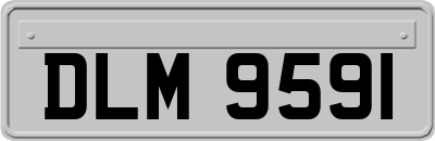 DLM9591