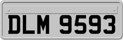 DLM9593