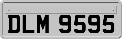 DLM9595