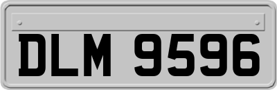 DLM9596
