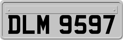 DLM9597