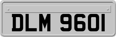 DLM9601