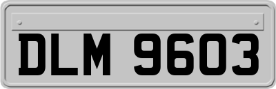DLM9603