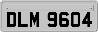 DLM9604