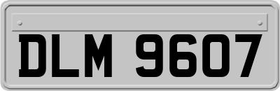 DLM9607