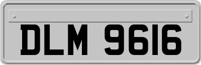 DLM9616