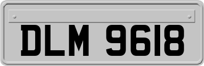 DLM9618