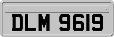 DLM9619