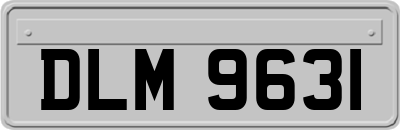DLM9631