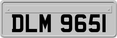 DLM9651