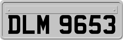 DLM9653
