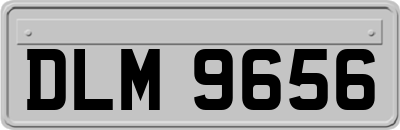 DLM9656
