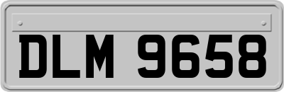 DLM9658