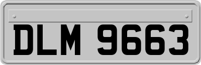 DLM9663