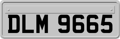 DLM9665