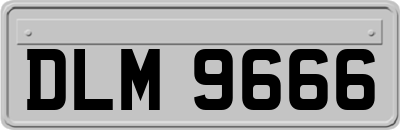 DLM9666