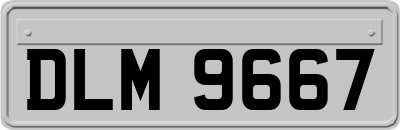 DLM9667