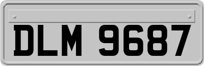 DLM9687