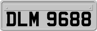 DLM9688
