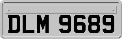 DLM9689