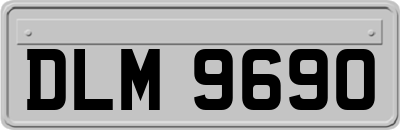DLM9690