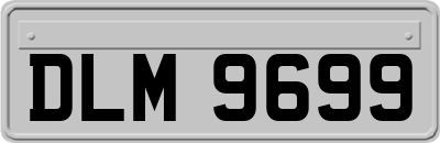 DLM9699