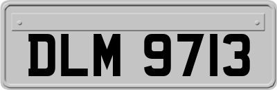 DLM9713