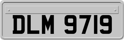 DLM9719