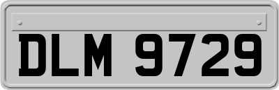 DLM9729