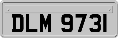 DLM9731