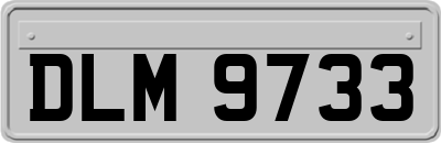 DLM9733