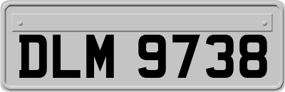 DLM9738