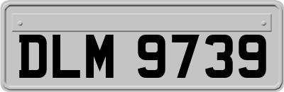 DLM9739