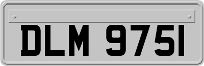 DLM9751