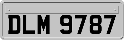 DLM9787