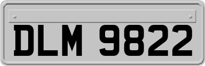 DLM9822