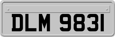 DLM9831