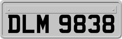 DLM9838