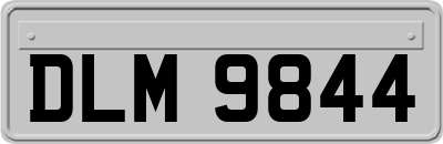 DLM9844