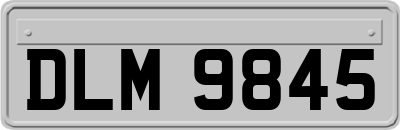 DLM9845