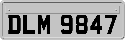 DLM9847