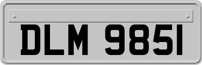 DLM9851