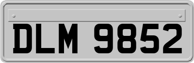 DLM9852