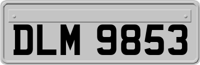 DLM9853