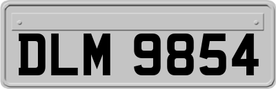 DLM9854
