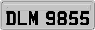 DLM9855
