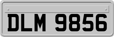 DLM9856