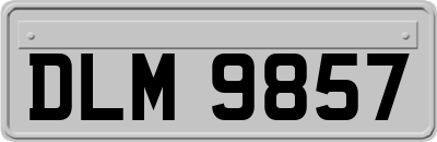 DLM9857