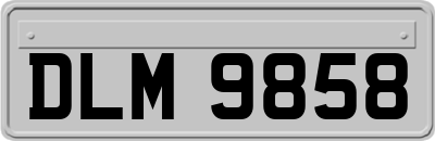 DLM9858